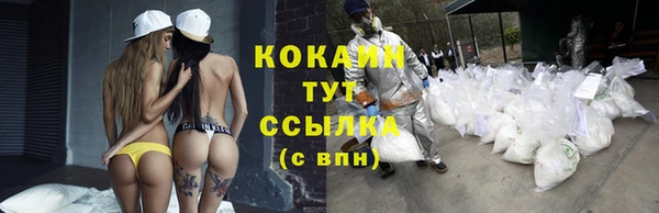 соль ск Рославль