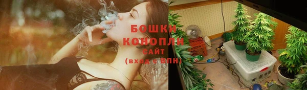 соль ск Рославль