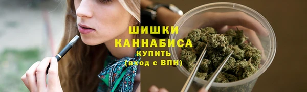 соль ск Рославль