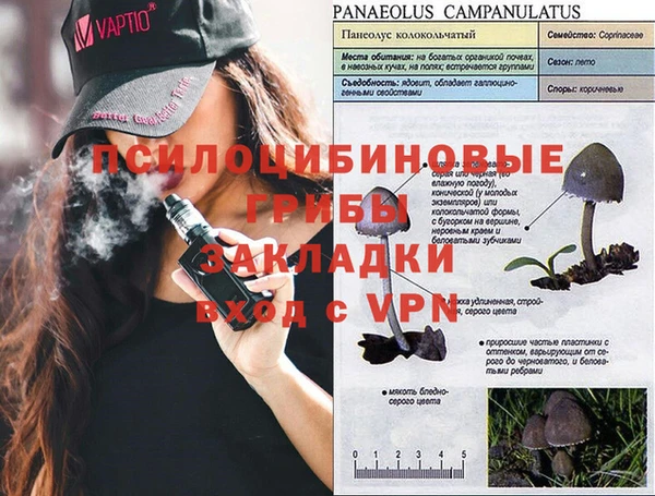 амфетамин Россошь