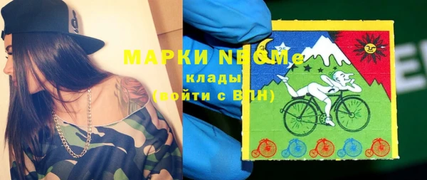 стаф Сатка