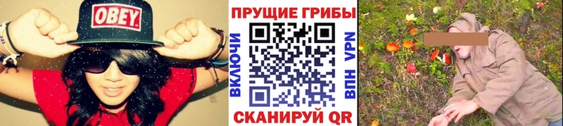 где можно купить наркотик  Соль-Илецк  Галлюциногенные грибы мицелий 